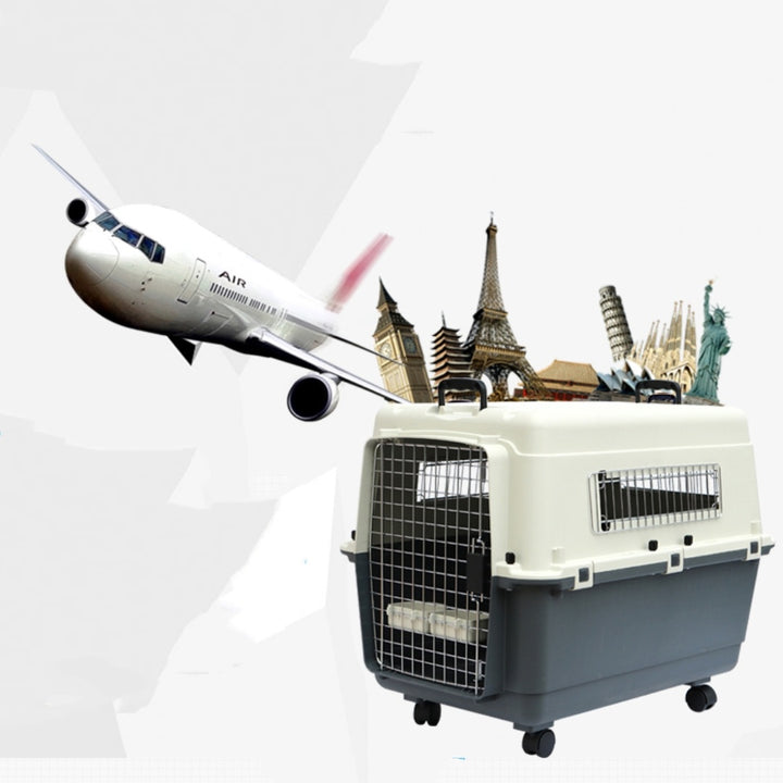 Pet Air Travel Box Transportation Transportation And Portability